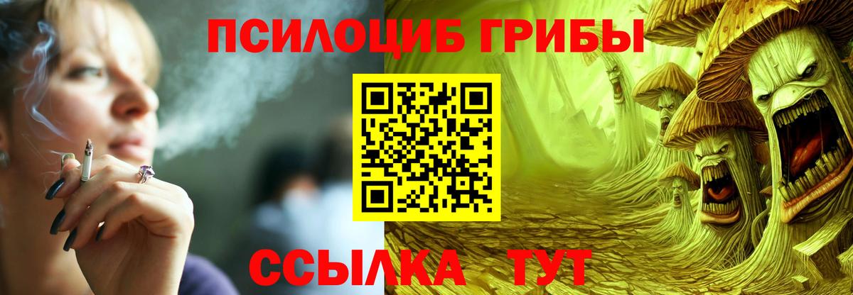 Звенигород  Псилоцибиновые грибы прущие грибы  Вход с VPN 
