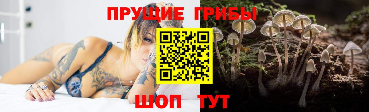 Псилоцибиновые грибы MAGIC MUSHROOMS Звенигород